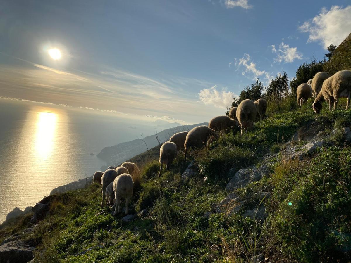 B&B Miramare Agerola Luaran gambar